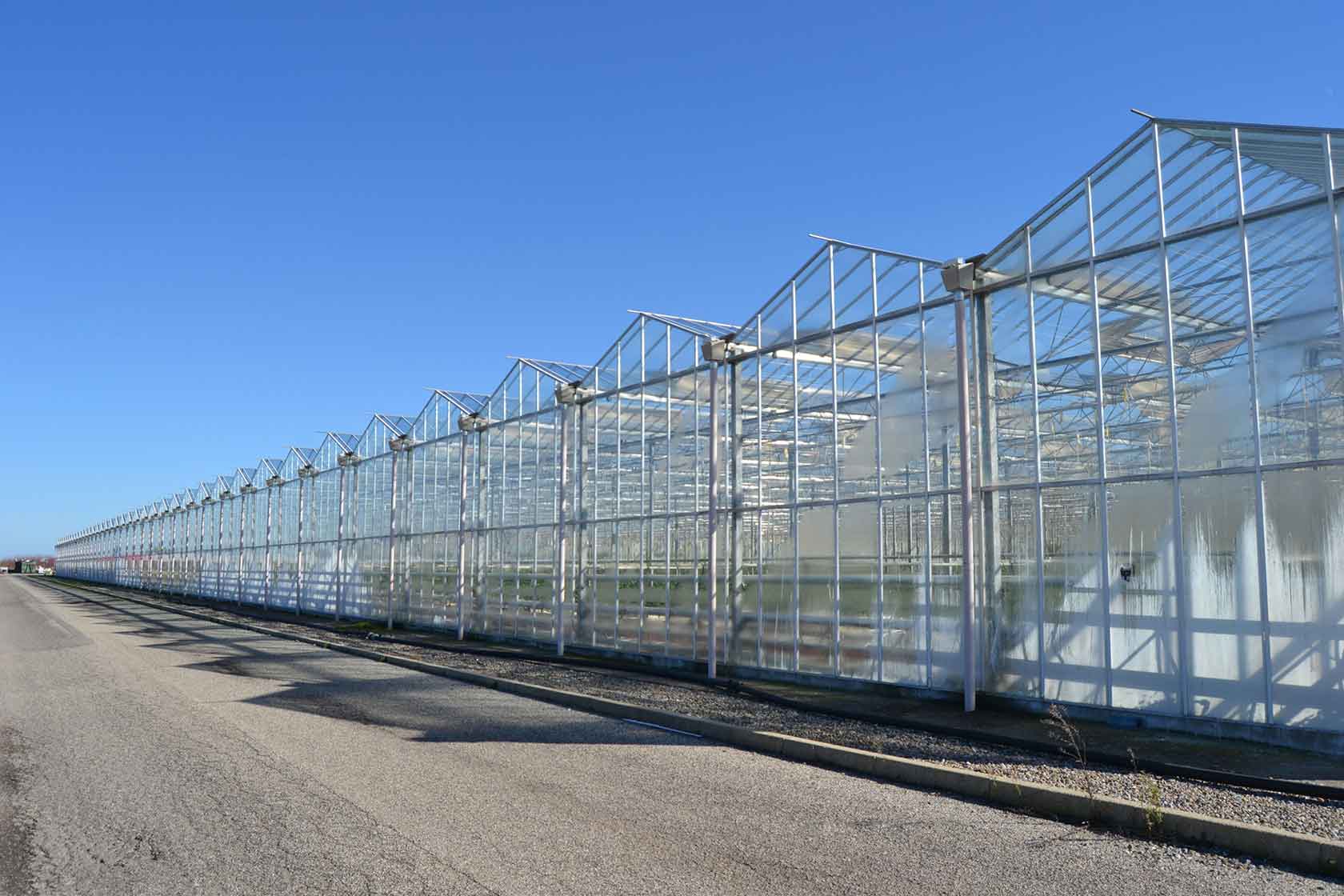 greenhouses cultivations hydroponic tancredi