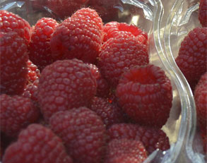Raspberry