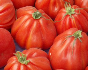 Tomatoes
